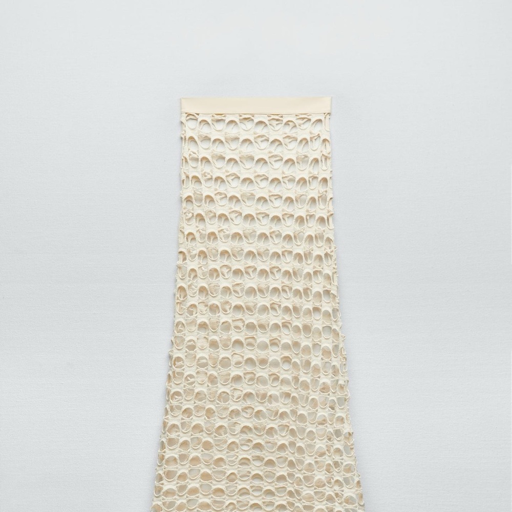 Zara Mesh midi skirt